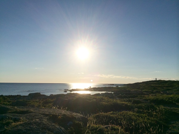 apelviken, camping, varberg, västkusten